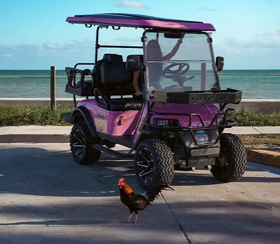 Paradise Rentals KW pink electric golf cart